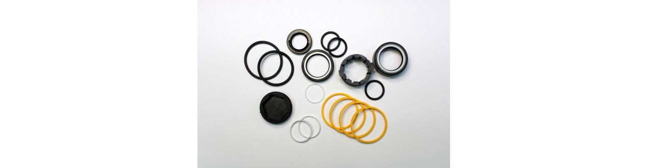 Steering Box Repair Kit