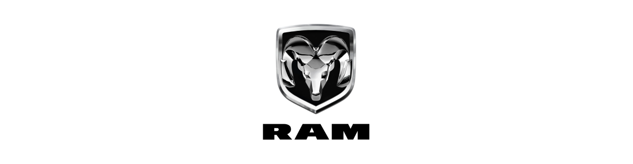 RAM