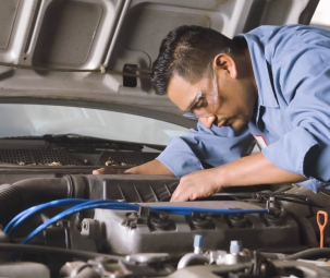 This is Third Post For Themevolty